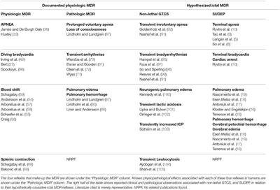 Ictal Mammalian Dive Response: A Likely Cause of Sudden Unexpected Death in Epilepsy